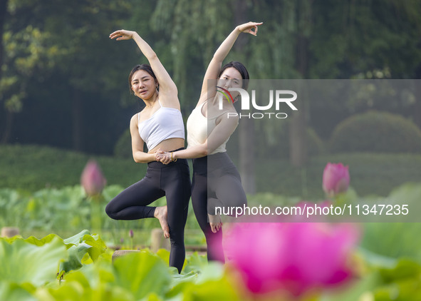 Yoga lovers are practicing yoga on the lotus pond trestle at Tiande Lake Park in Taizhou, China, on June 21, 2024. 