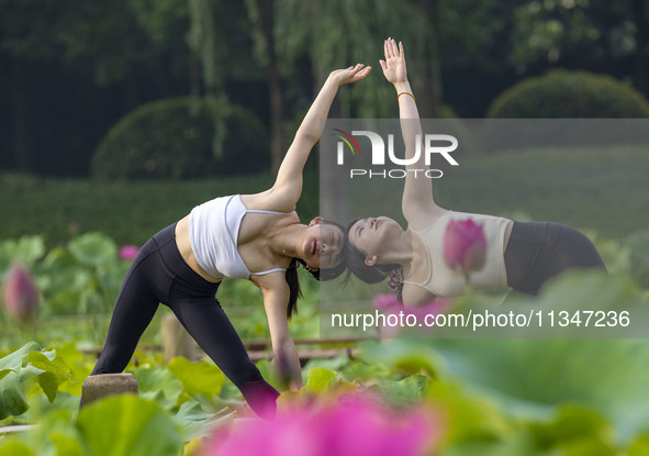 Yoga lovers are practicing yoga on the lotus pond trestle at Tiande Lake Park in Taizhou, China, on June 21, 2024. 