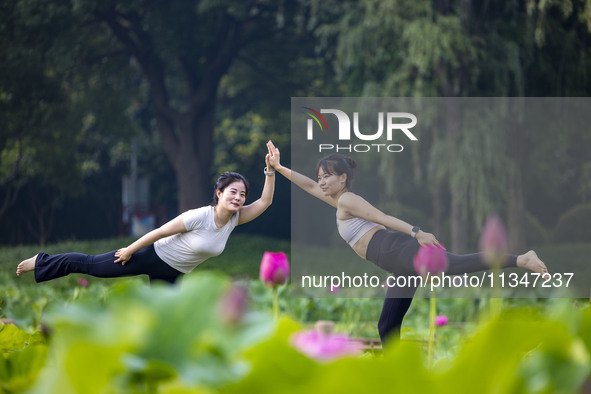 Yoga lovers are practicing yoga on the lotus pond trestle at Tiande Lake Park in Taizhou, China, on June 21, 2024. 