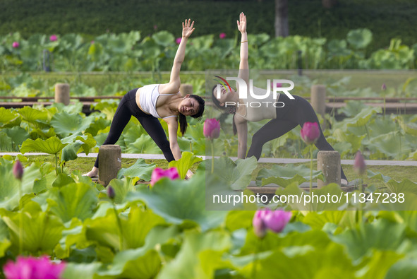 Yoga lovers are practicing yoga on the lotus pond trestle at Tiande Lake Park in Taizhou, China, on June 21, 2024. 