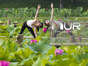 Yoga lovers are practicing yoga on the lotus pond trestle at Tiande Lake Park in Taizhou, China, on June 21, 2024. (