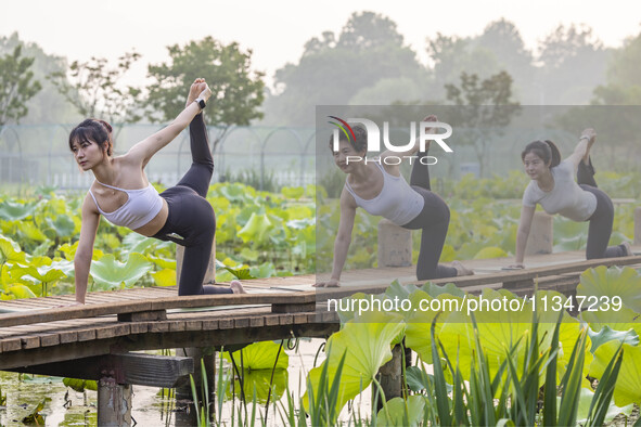 Yoga lovers are practicing yoga on the lotus pond trestle at Tiande Lake Park in Taizhou, China, on June 21, 2024. 