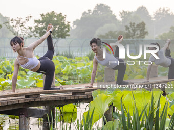 Yoga lovers are practicing yoga on the lotus pond trestle at Tiande Lake Park in Taizhou, China, on June 21, 2024. (