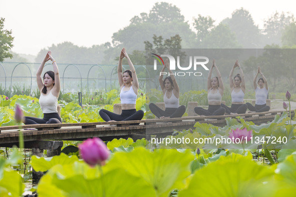 Yoga lovers are practicing yoga on the lotus pond trestle at Tiande Lake Park in Taizhou, China, on June 21, 2024. 