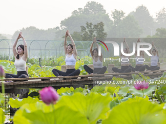 Yoga lovers are practicing yoga on the lotus pond trestle at Tiande Lake Park in Taizhou, China, on June 21, 2024. (