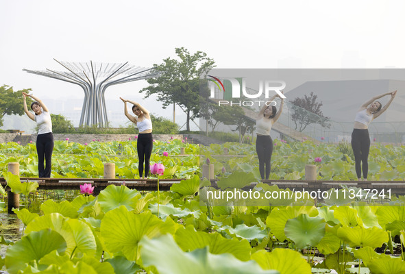 Yoga lovers are practicing yoga on the lotus pond trestle at Tiande Lake Park in Taizhou, China, on June 21, 2024. 