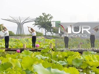 Yoga lovers are practicing yoga on the lotus pond trestle at Tiande Lake Park in Taizhou, China, on June 21, 2024. (