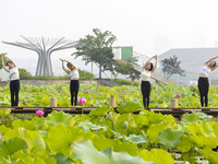 Yoga lovers are practicing yoga on the lotus pond trestle at Tiande Lake Park in Taizhou, China, on June 21, 2024. (