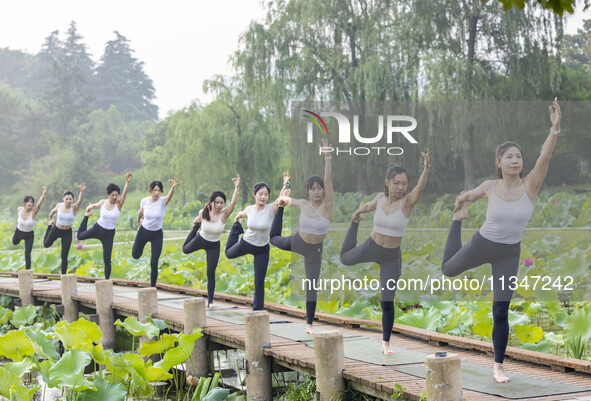 Yoga lovers are practicing yoga on the lotus pond trestle at Tiande Lake Park in Taizhou, China, on June 21, 2024. 