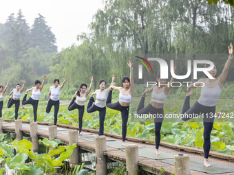 Yoga lovers are practicing yoga on the lotus pond trestle at Tiande Lake Park in Taizhou, China, on June 21, 2024. (