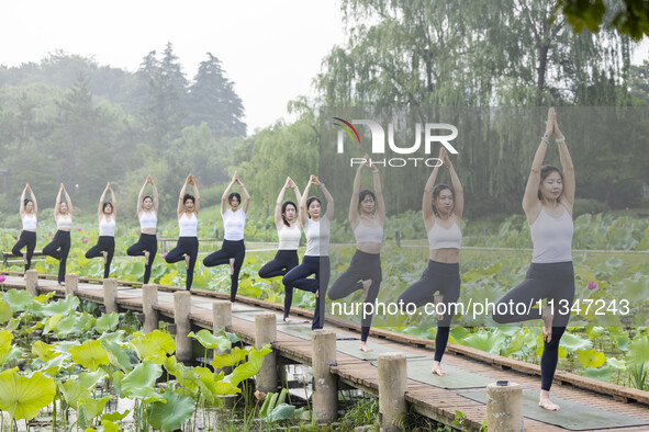 Yoga lovers are practicing yoga on the lotus pond trestle at Tiande Lake Park in Taizhou, China, on June 21, 2024. 