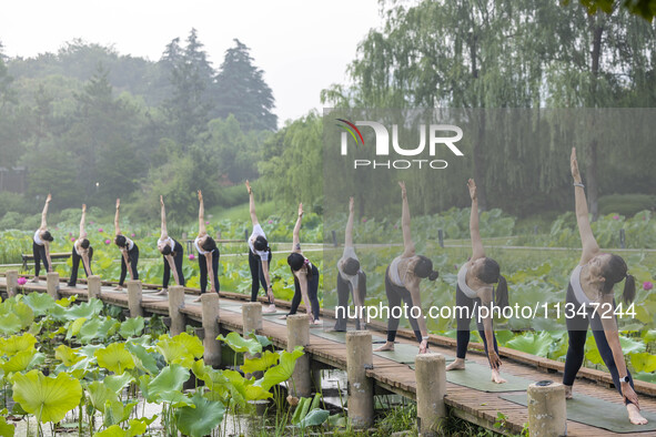 Yoga lovers are practicing yoga on the lotus pond trestle at Tiande Lake Park in Taizhou, China, on June 21, 2024. 