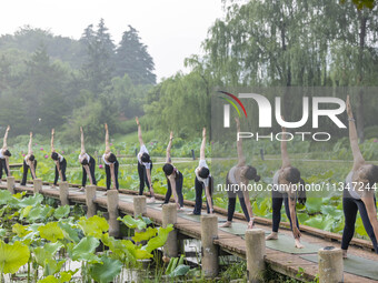 Yoga lovers are practicing yoga on the lotus pond trestle at Tiande Lake Park in Taizhou, China, on June 21, 2024. (