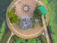 Yoga lovers are practicing yoga on the lotus pond trestle at Tiande Lake Park in Taizhou, China, on June 21, 2024. (