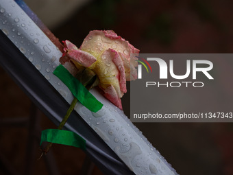 A pink rose is being pasted with tape to decorate the venue as rain is delaying yoga on the 10th International Yoga Day Celebrations in Bara...