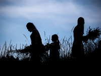 Women are picking wild plants while celebrating the summer solstice during the 'Kupala Night' by the Krakus Mound in Krakow, Poland on June...