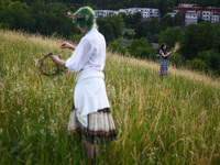 Women are picking wild plants while celebrating the summer solstice during the 'Kupala Night' by the Krakus Mound in Krakow, Poland on June...