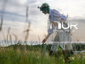 A girl is picking wild plants while celebrating the summer solstice during the 'Kupala Night' by the Krakus Mound in Krakow, Poland on June...