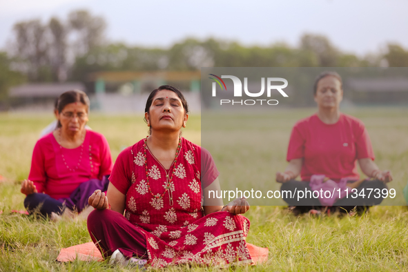 People are performing yoga on the occasion of International Yoga Day. 