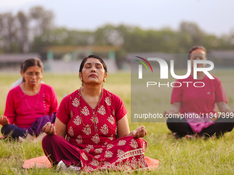 People are performing yoga on the occasion of International Yoga Day. (