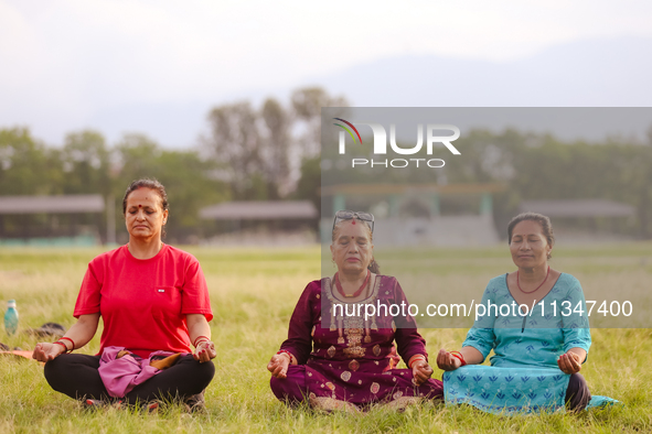 People are performing yoga on the occasion of International Yoga Day. 