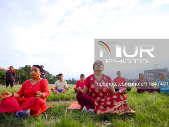 People are performing yoga on the occasion of International Yoga Day. (