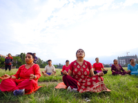 People are performing yoga on the occasion of International Yoga Day. (