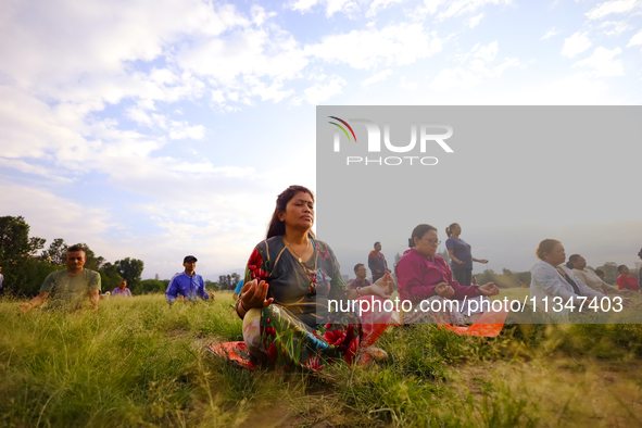 People are performing yoga on the occasion of International Yoga Day. 