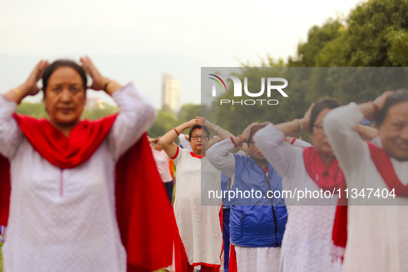 People are performing yoga on the occasion of International Yoga Day. 