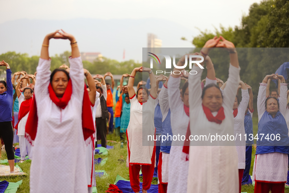 People are performing yoga on the occasion of International Yoga Day. 