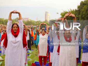 People are performing yoga on the occasion of International Yoga Day. (