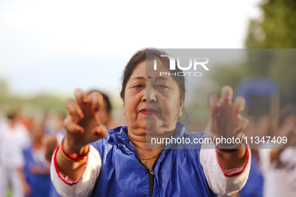 People are performing yoga on the occasion of International Yoga Day. 