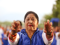 People are performing yoga on the occasion of International Yoga Day. (