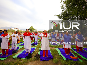 People are performing yoga on the occasion of International Yoga Day. (