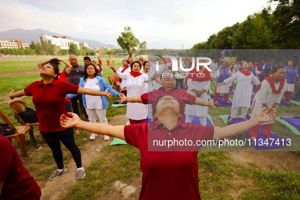 People are performing yoga on the occasion of International Yoga Day. 