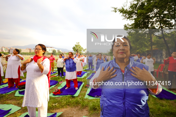 People are performing yoga on the occasion of International Yoga Day. 