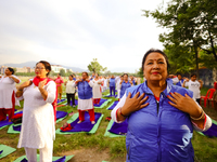 People are performing yoga on the occasion of International Yoga Day. (