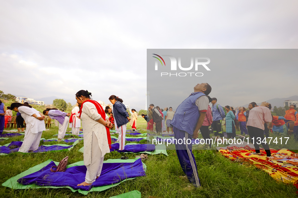 People are performing yoga on the occasion of International Yoga Day. 