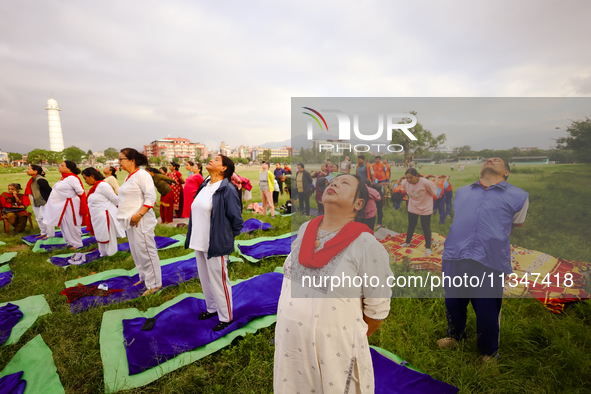 People are performing yoga on the occasion of International Yoga Day. 