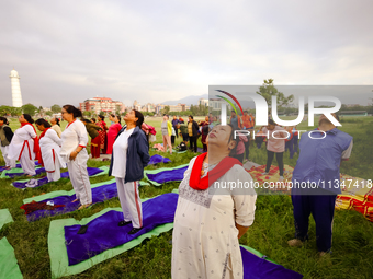 People are performing yoga on the occasion of International Yoga Day. (