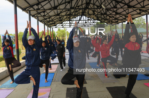 Cadets from the National Cadet Corps (NCC) are performing yoga on International Day of Yoga at Jammu Kashmir Light Infantry Regimental Cente...