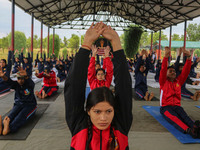 Cadets from the National Cadet Corps (NCC) are performing yoga on International Day of Yoga at Jammu Kashmir Light Infantry Regimental Cente...