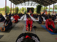 Cadets from the National Cadet Corps (NCC) are performing yoga on International Day of Yoga at Jammu Kashmir Light Infantry Regimental Cente...