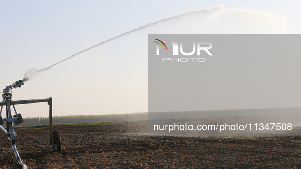 Villagers are carrying out irrigation work in Guangming village, Lianyungang city, East China's Jiangsu province, on June 21, 2024. 