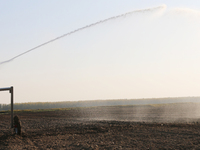 Villagers are carrying out irrigation work in Guangming village, Lianyungang city, East China's Jiangsu province, on June 21, 2024. (