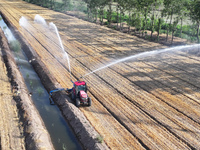 Villagers are carrying out irrigation work in Guangming village, Lianyungang city, East China's Jiangsu province, on June 21, 2024. (