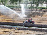 Villagers are carrying out irrigation work in Guangming village, Lianyungang city, East China's Jiangsu province, on June 21, 2024. (