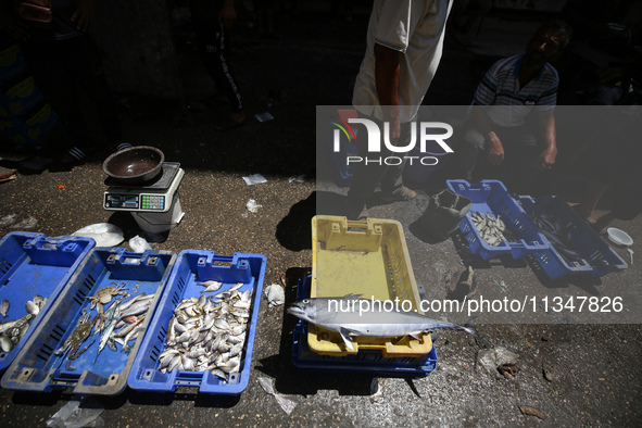 A Palestinian is displaying his wares in a market in Deir al-Balah in the central Gaza Strip, on June 21, 2024, as the conflict is continuin...