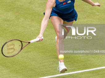 Katerina Siniakova is participating in the ecotrans Ladies Open, a WTA 500 tournament, in Berlin, Germany, on June 21, 2024. (