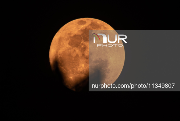 The Strawberry Moon is being seen in Ungaran, Central Java Province, Indonesia, on June 21, 2024. 